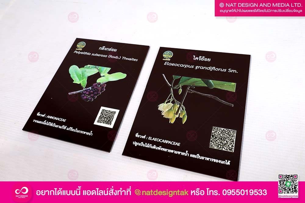 ป้ายชื่อต้นไม้ กรมป่าไม้