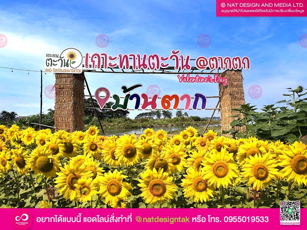 ตัวอักษร เกาะทานตะวัน