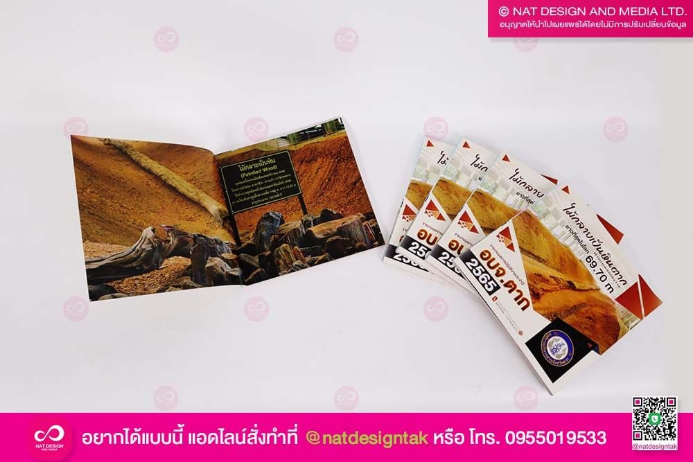 หนังสือ ไม้กลายเป็นหิน