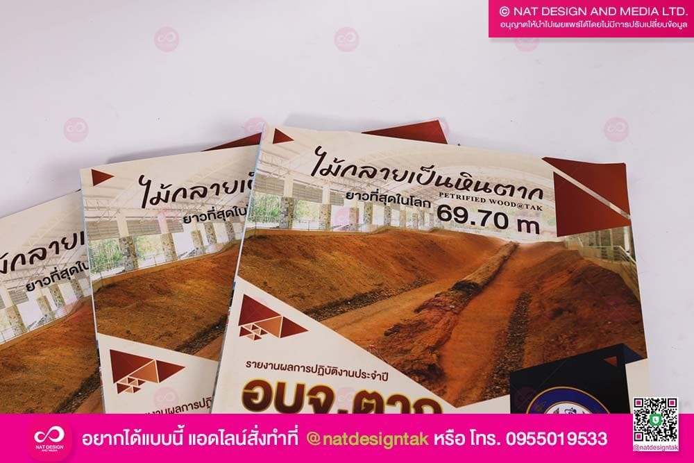 หนังสือ ไม้กลายเป็นหิน