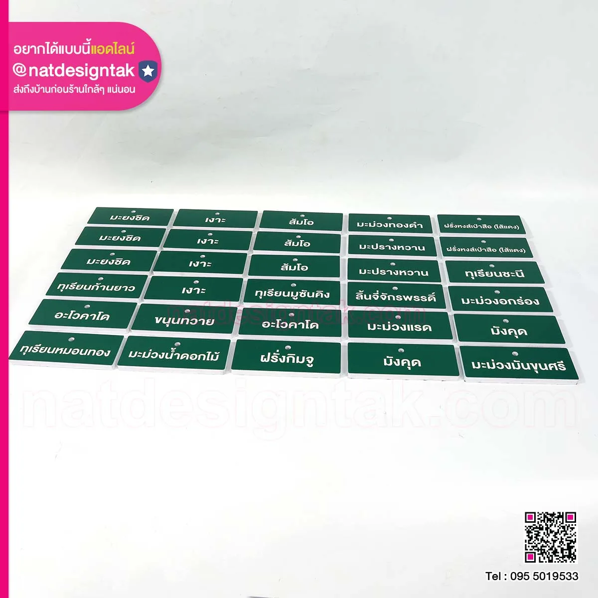 ป้ายชื่อไม้ยืนต้น