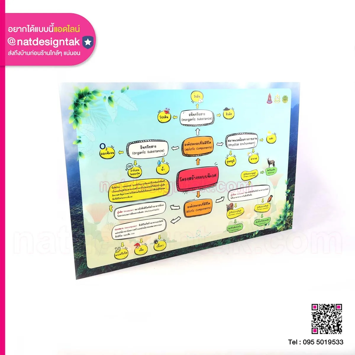 โครงสร้างระบบนิเวศ