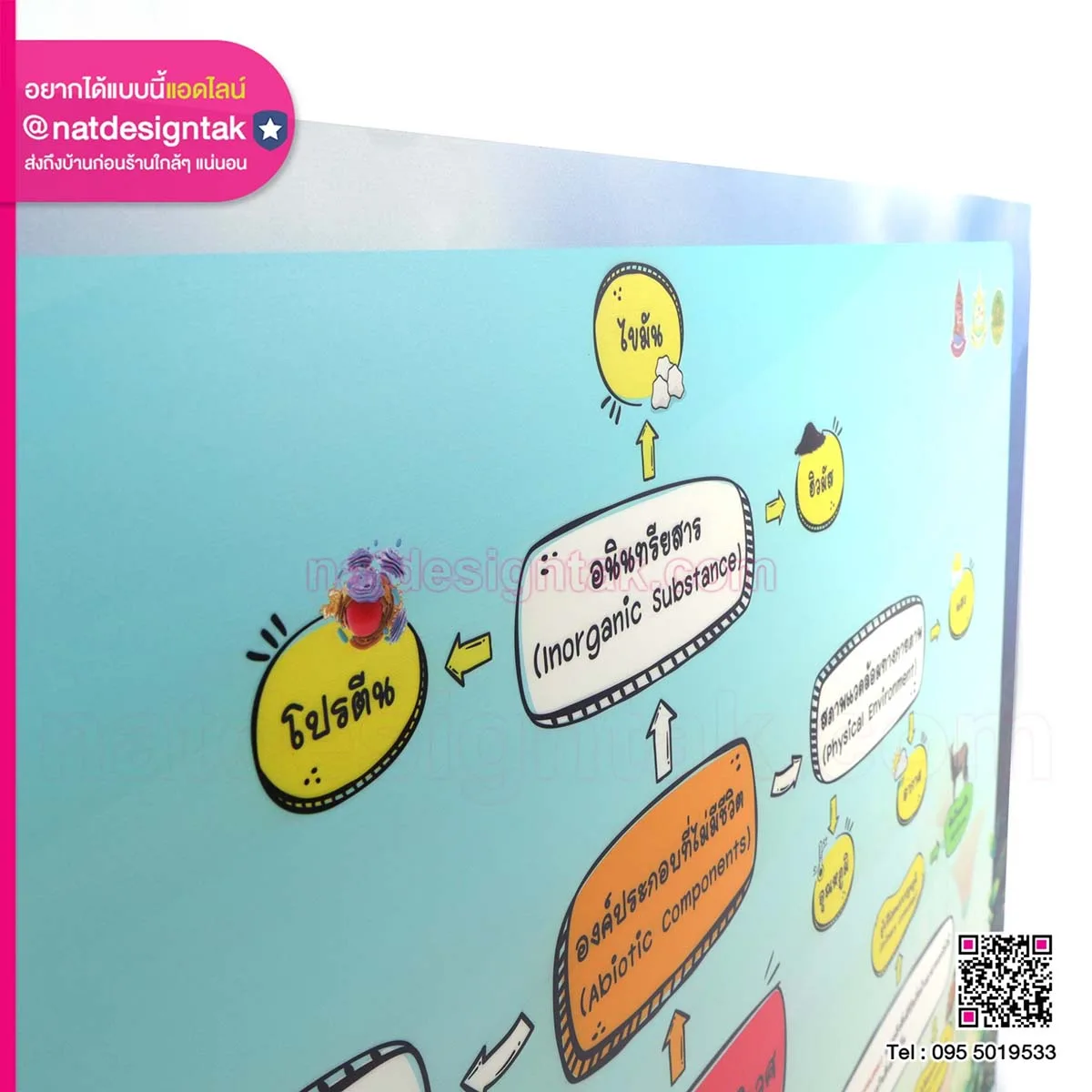 โครงสร้างระบบนิเวศ