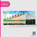 ป่าไม้ในประเทศไทย