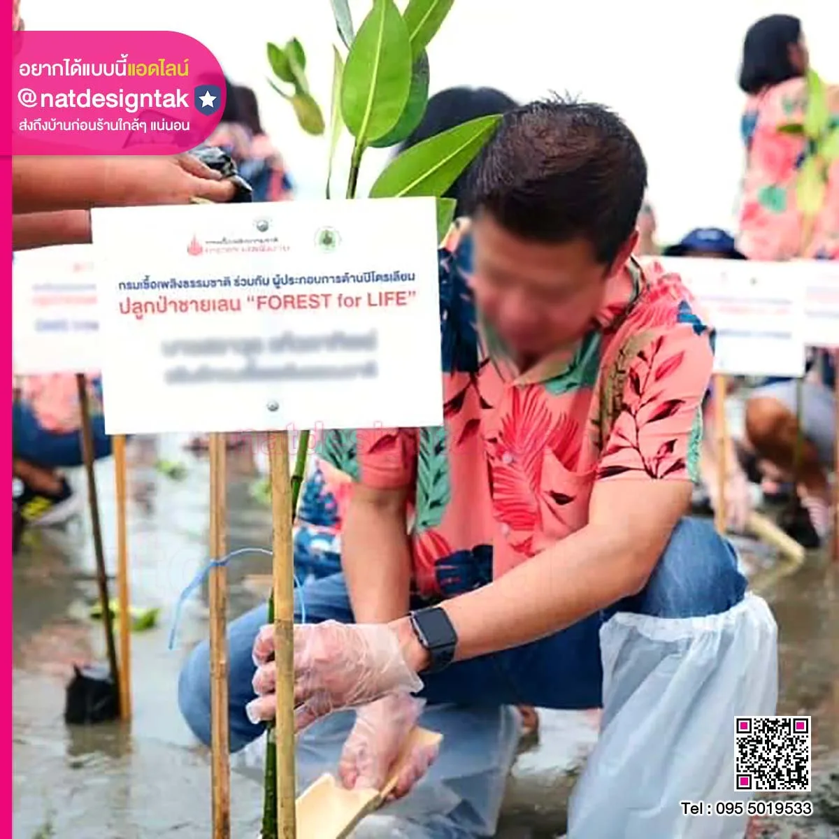 กิจกรรมปลูกป่าชายเลน