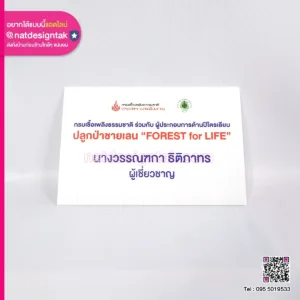 ป้ายปลูกป่าชายเลน Forest for life