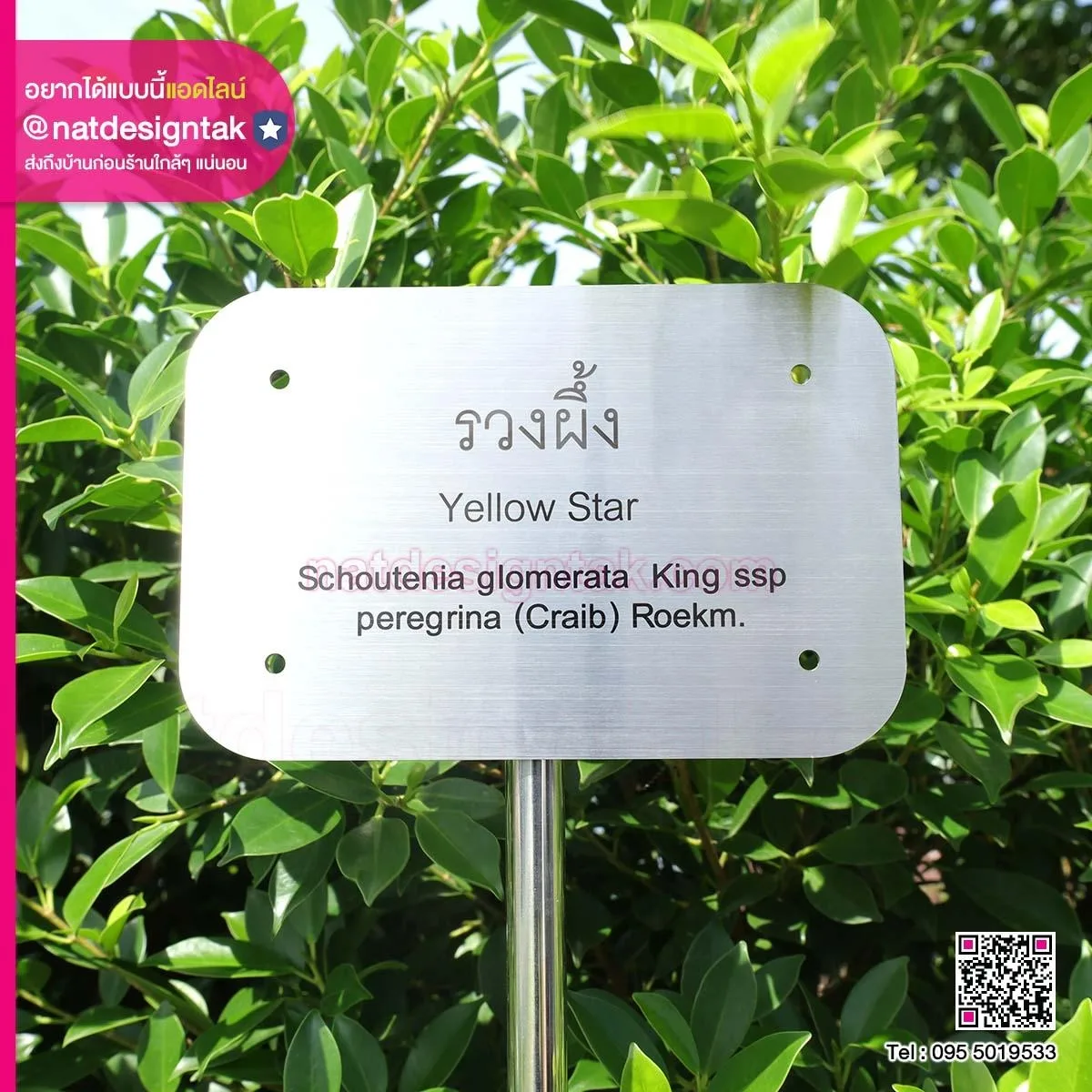 ป้ายชื่อต้นไม้สแตนเลส