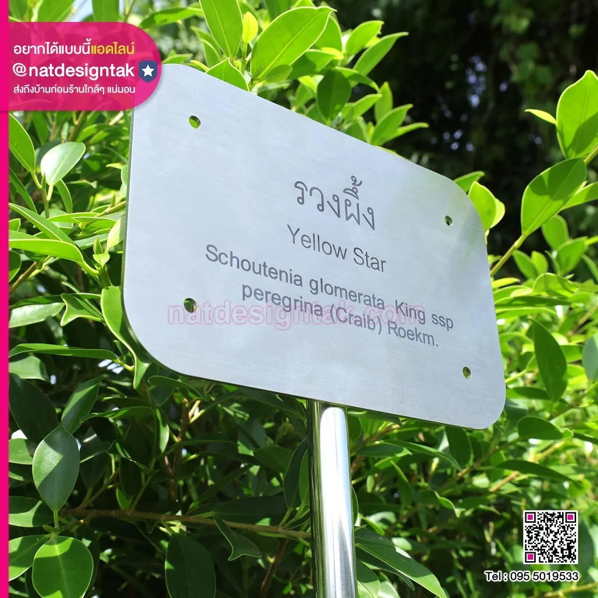 สแตนเลสพิมพ์ยูวี