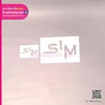 บล็อกพ่นสี SIM
