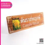ป้ายชื่อต้นไม้ ต้นราชพฤกษ์
