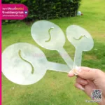 โลโก้บล็อกโรยผง