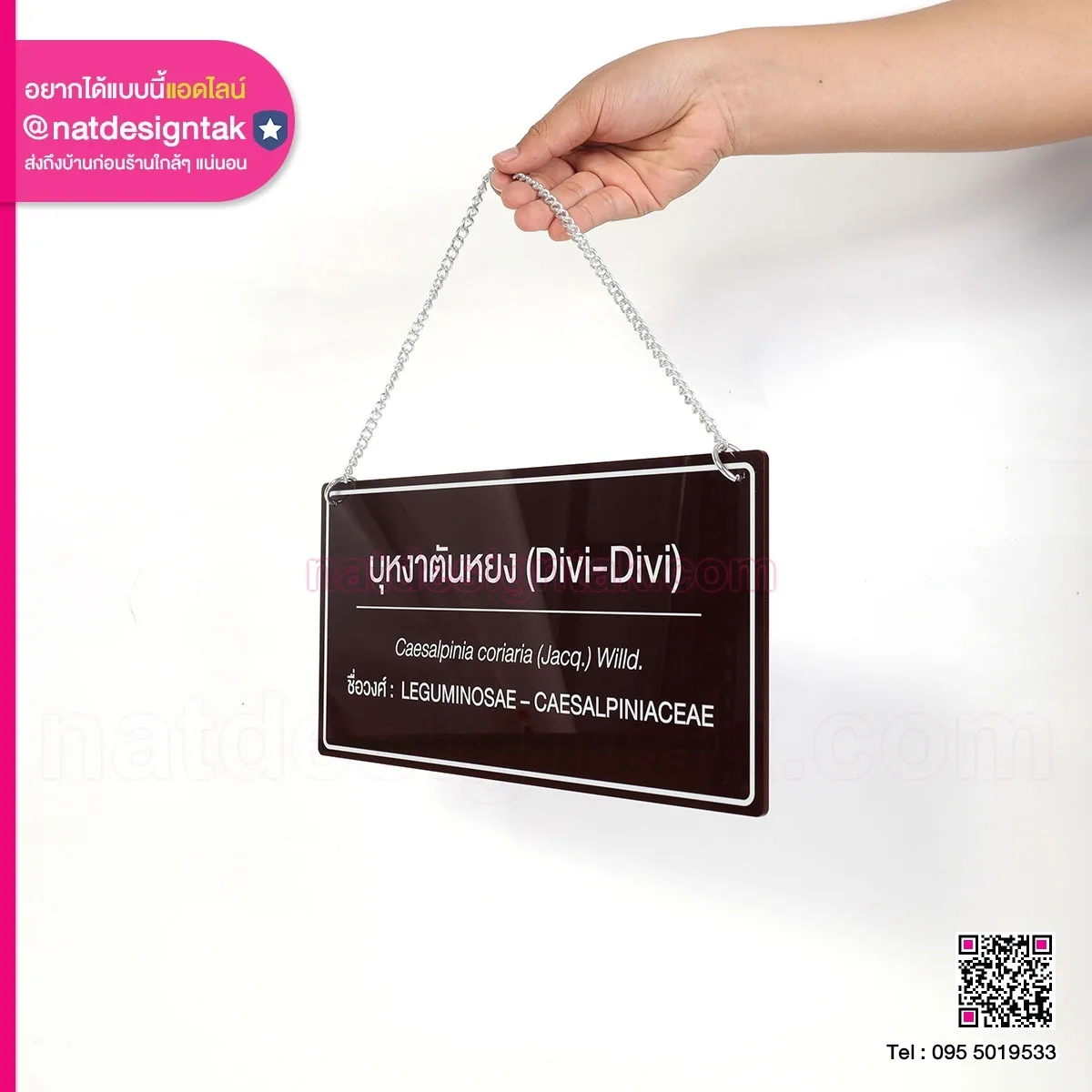 ป้ายชื่อต้นไม้ Divi Divi