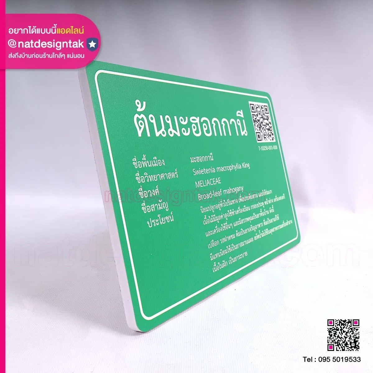 ป้ายชื่อต้นไม้ชื่อ และสายพันธุ์ต้นไม้
