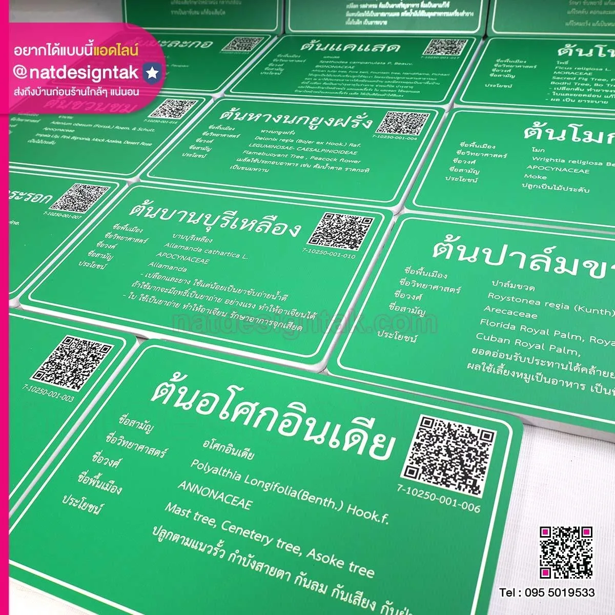 ป้ายชื่อต้นไม้สีเขียว พิมพ์คิวอาร์โค้ด