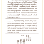 Siamsi เซียมซี ใบที่ ๑๓