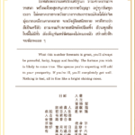 Siamsi เซียมซี ใบที่ ๑๖