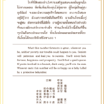 Siamsi เซียมซี ใบที่ ๒๒