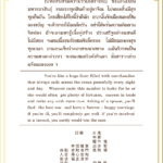 Siamsi เซียมซี ใบที่ ๒๓