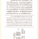 Siamsi เซียมซี ใบที่ ๒๕