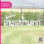 ป้ายตัวอักษร กาดต้าตง