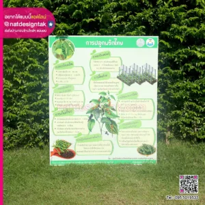 ป้ายการปลูกพริกไทย ฟิวเจอร์บอร์ด