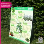 ป้ายการปลูกพริกไทย ฟิวเจอร์บอร์ด