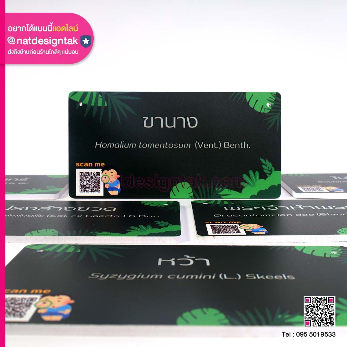 ป้านยชื่อต้นไม้ สีเขียวเข้ม