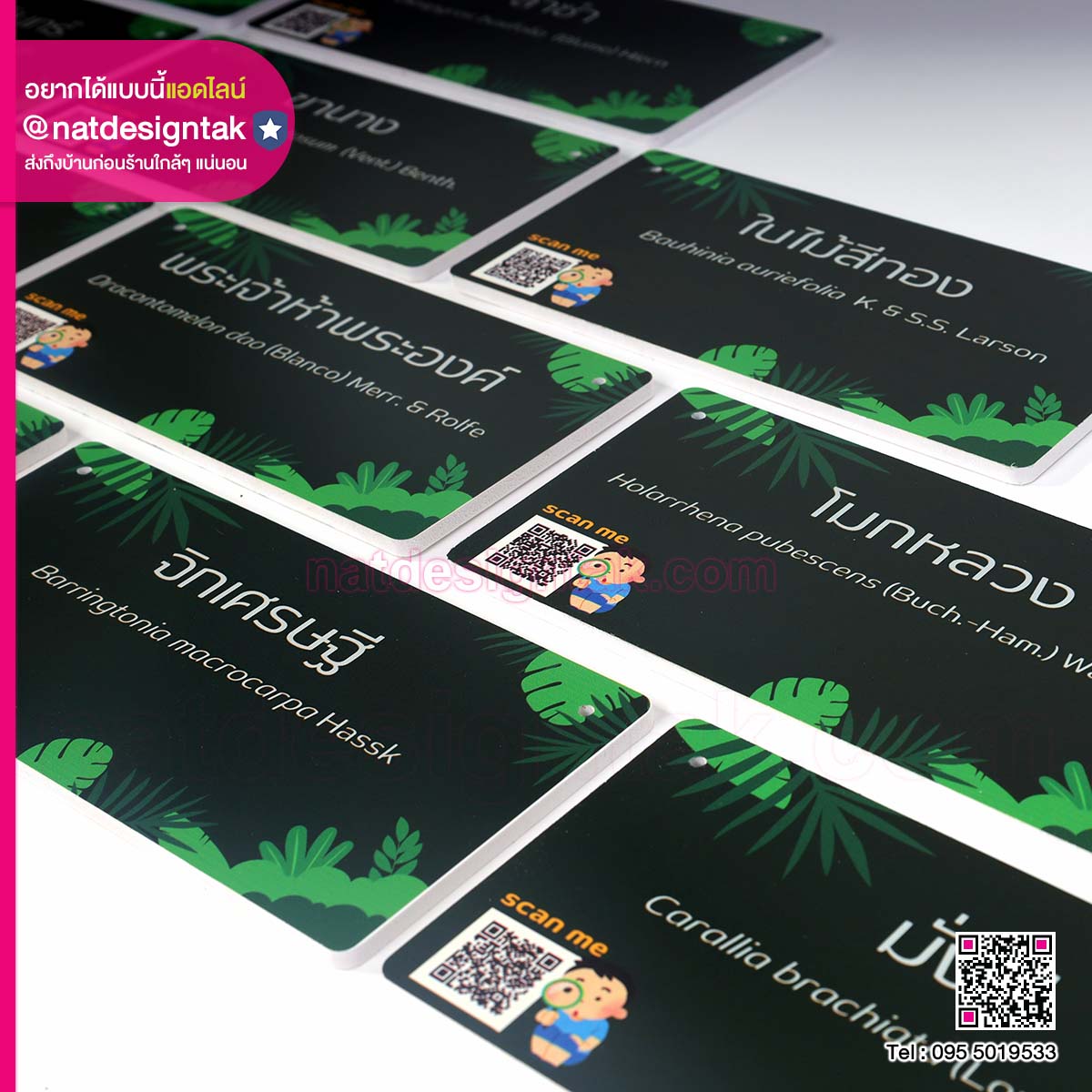 ป้านยชื่อต้นไม้ สีเขียวเข้ม