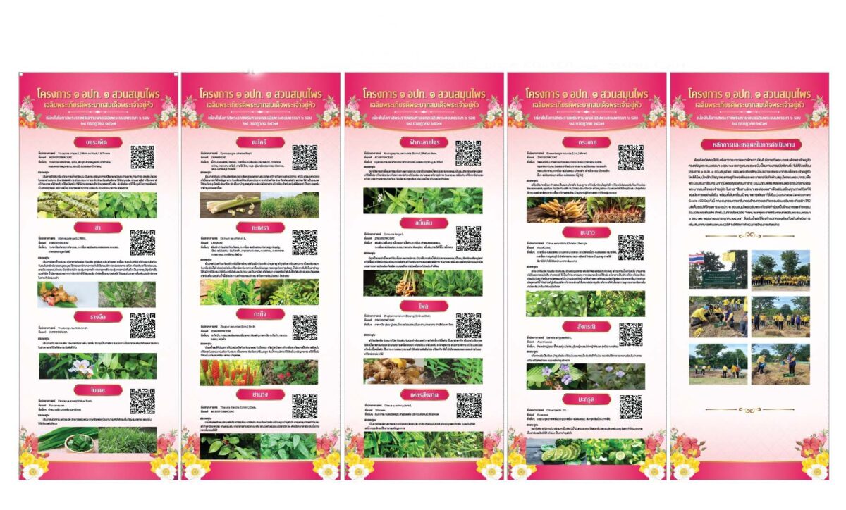 แบนเนอร์ ไวนิล โครงการ 1 อปท. 1 สวนสมุนไพร