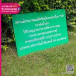 ป้ายอะคริลิคสีเขียว พิมพ์ยูวี