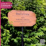 ป้ายชื่อต้นไม้ ลายไม้ เสาเหล็ก