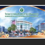 ไวนิล โรงพยาบาลสมเด็จพระเจ้าตากสินมหาราช