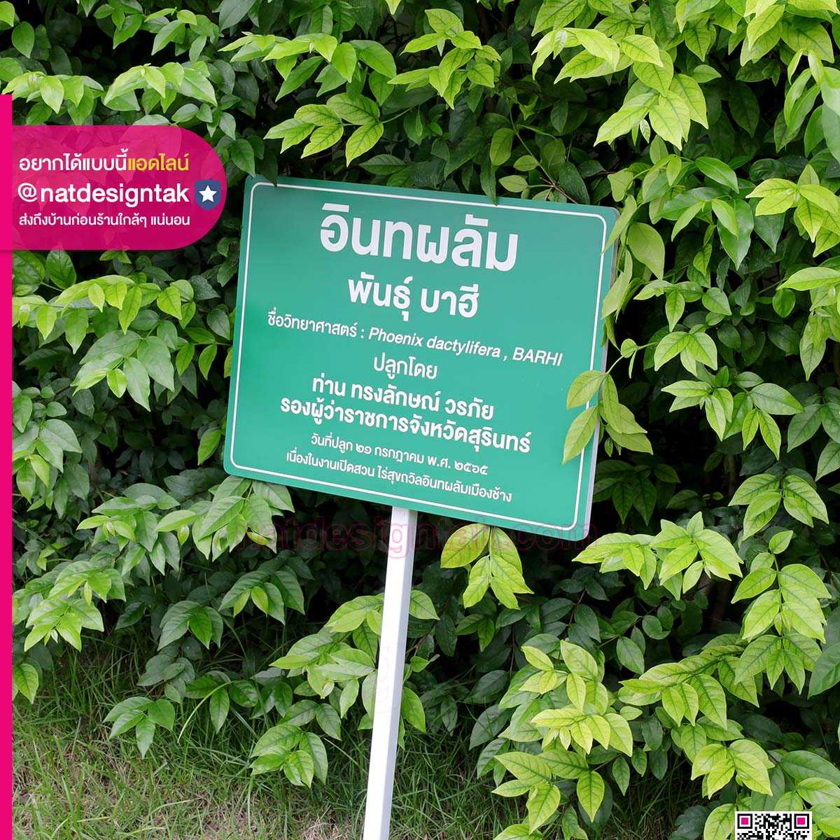 ป้ายชื่อต้นไม้ พิมพ์ยูวี