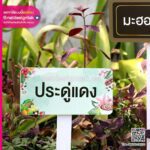 ป้ายชื่อต้นไม้ ติดเสาพลาสวูด