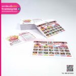 ใบปลิว SHANA BRAND