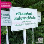 ป้ายต้นไม้ และป้ายรายชื่อ