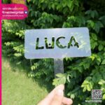 บล็อกโรยผง Luca