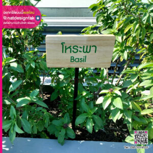 ป้ายชื่อต้นไม้ ไม้สนพิมพ์ยูวี