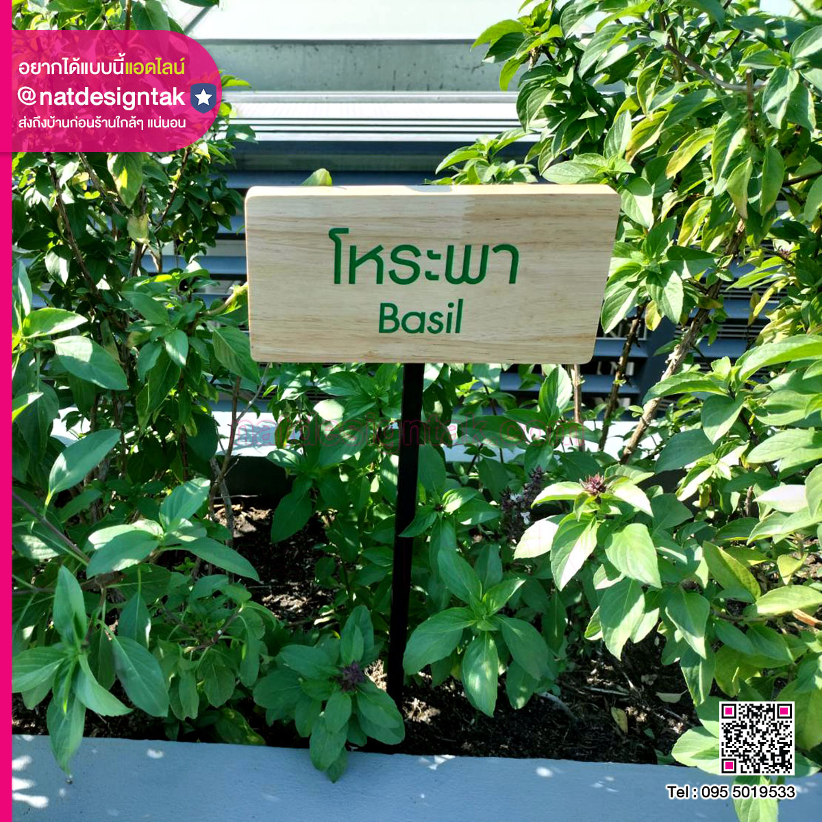 ป้ายชื่อต้นไม้ ไม้สนพิมพ์ยูวี