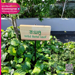 ป้ายสายพันธุ์ไม้