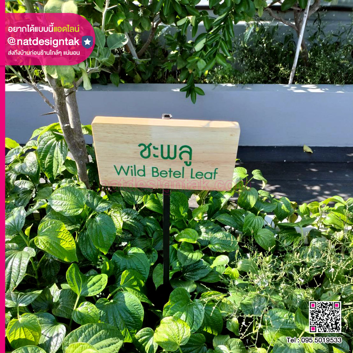 ป้ายสายพันธุ์ไม้
