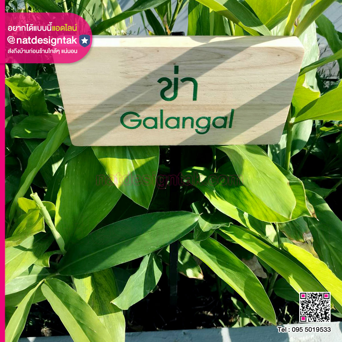 ป้ายพรรณไม้