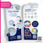 สแตนดี้ฟิวเจอร์บอร์ด