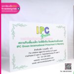 เกียรติบัตรคอมโพสิตสีเงิน