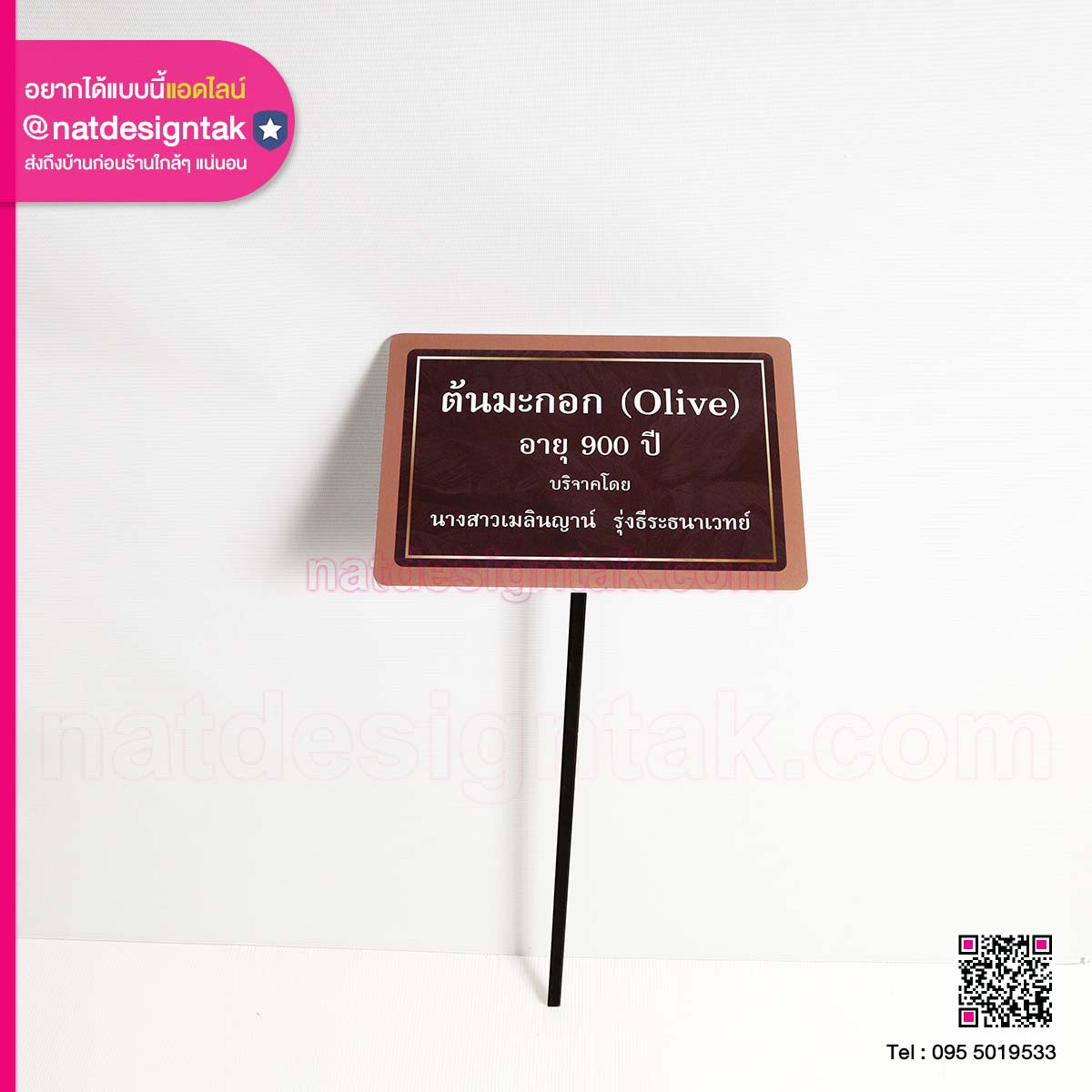 ป้ายต้นมะกอก