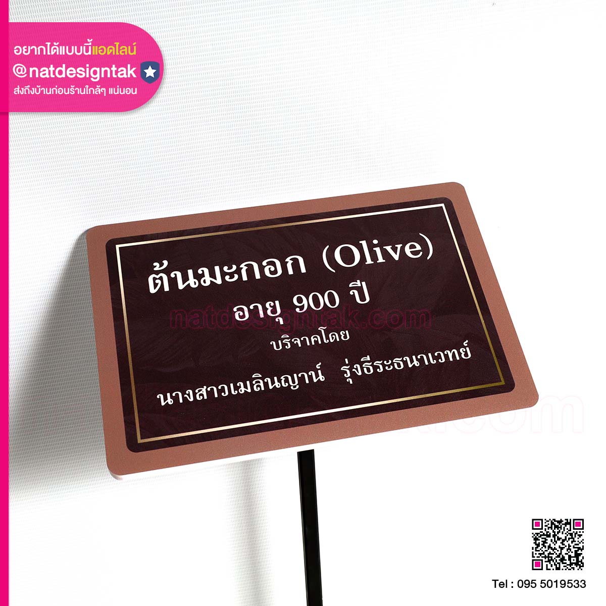 ป้ายต้นมะกอก