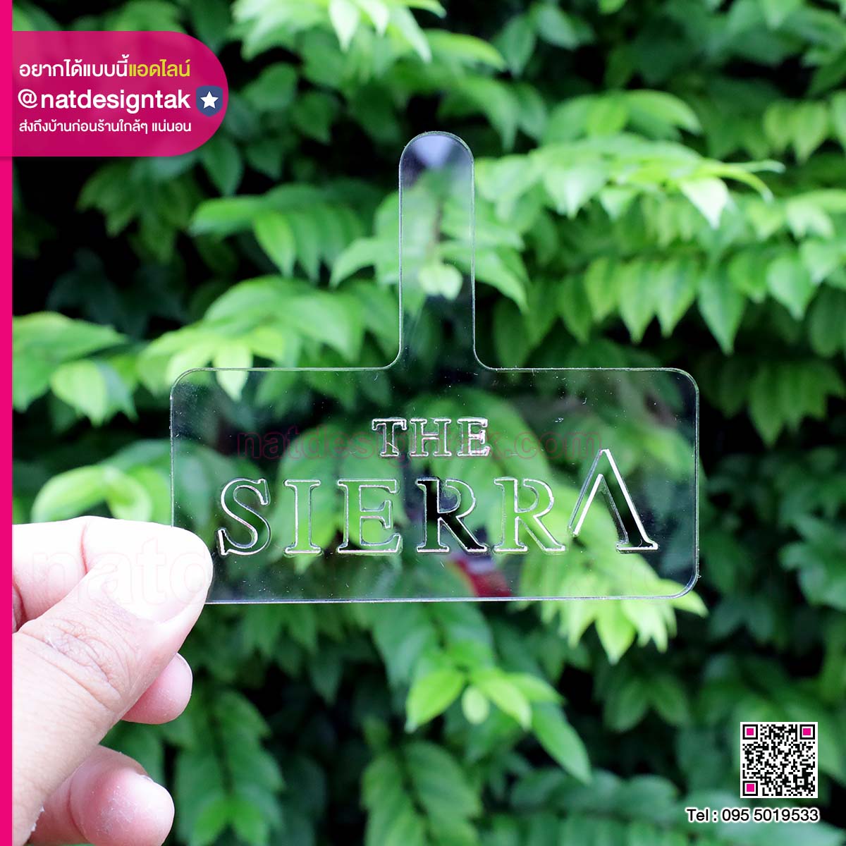 บล็อกโรยผง The Sierra