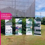 โรยอัพ BCG Model