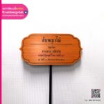 ป้ายชื่อต้นไม้ ต้นพญาไม้