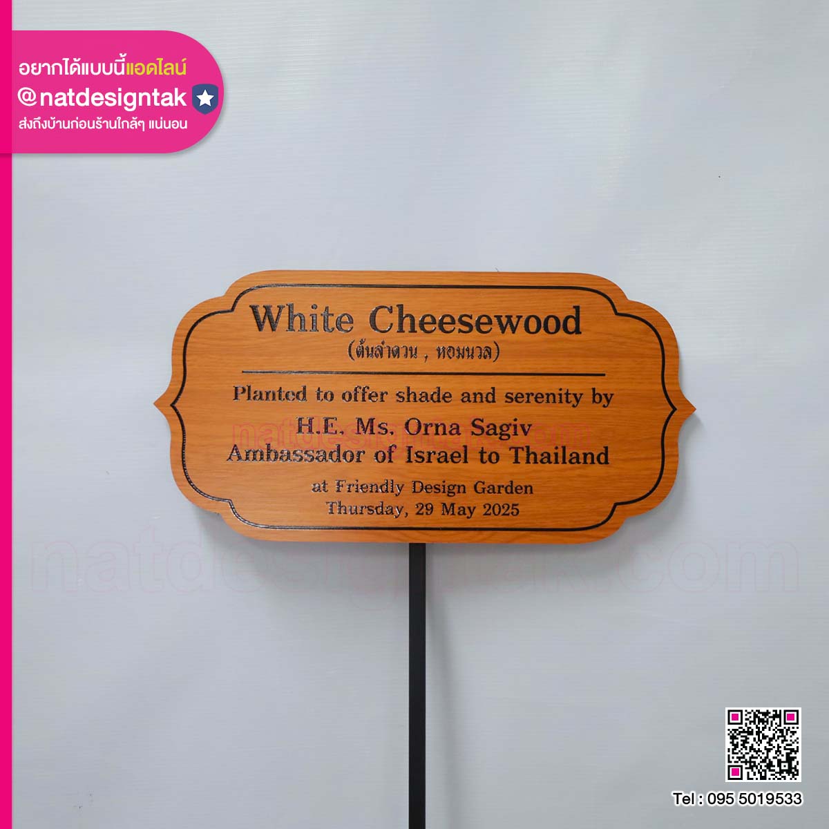 ป้ายชื่อต้นไม้ “White Cheesewood”